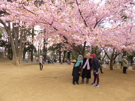 桜を鑑賞する人たち