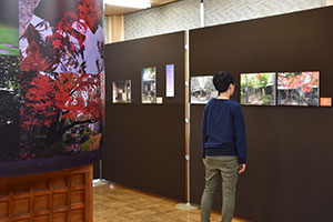 松滴庵の四季パネル展示