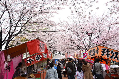 満開の桜の下に立ち並ぶ屋台