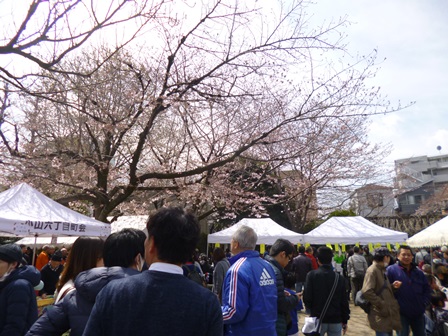 今年も賑わいを見せた桜祭りの様子