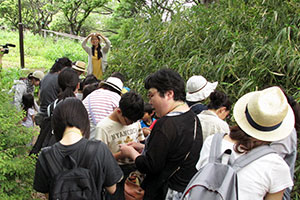 自然観察ツアー