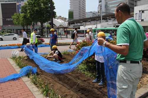 種植え後防虫ネットをかける児童たち