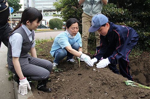 JR東日本職員、地元町会の方と一緒に苗植えをする様子