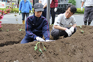 共に苗植えをする日野学園の生徒とJR東日本職員