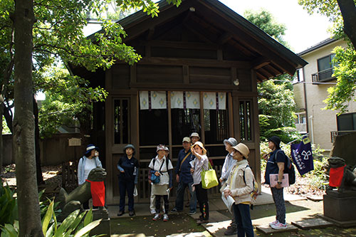 鹿嶋神社のタブの木を見学
