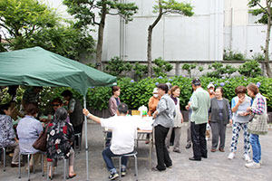 矢の橋会のアジサイ祭り