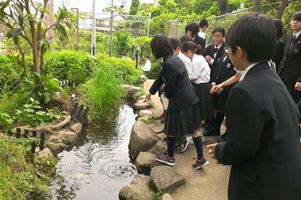 カワニナを池に放つ環境委員の子どもたち