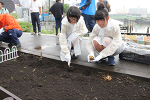 球根を植える坂井市の高校生