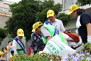 しながわ花海道で清掃活動