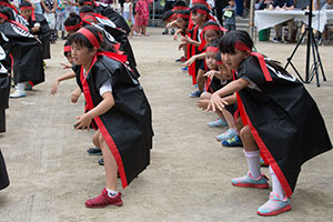 ソーラン