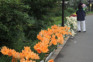 花壇前の遊歩道を散歩する人