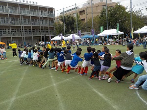 28運動会綱引き