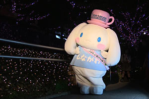イルミネーションの前でポーズをとるシナモン