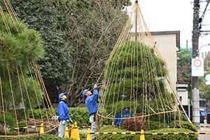 綱の張り具合を調節するスタッフ