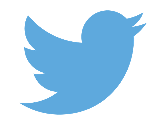 twitter_logo.png