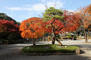 戸越公園の紅葉