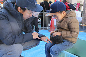 昭和通り商店街　ふれあい動物園