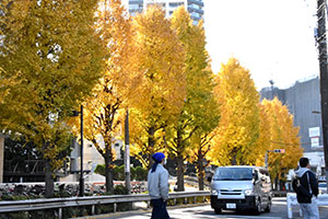 しながわ中央公園前歩道からの景色