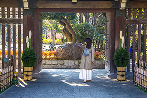 飾られた門松と薬医門