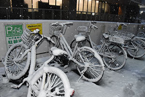 自転車置き場