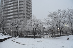 雪のしながわ中央公園