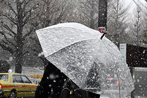 傘に雪が降り積もる様子