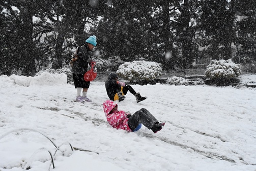 しながわ中央公園で雪遊び