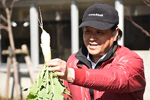 収穫し水洗いした品川カブを見せる大塚さん