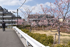 鮫洲入江広場 南側から