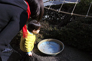 散歩の親子が珍しそうに覗き込む