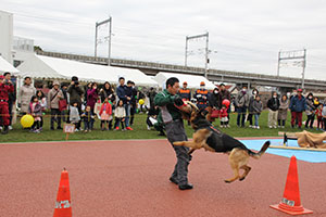 警備犬による訓練