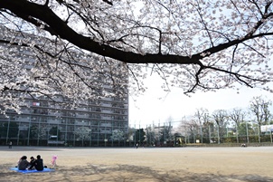 お花見する人たち