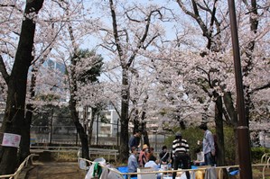 お花見する人たち