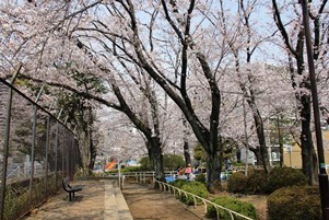 御殿山公園