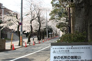 しながわ百景