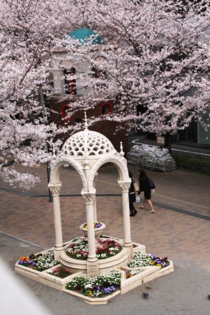 モニュメントと桜
