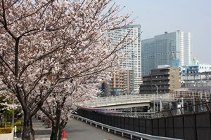 品川駅方面を臨む