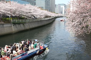 クルーズの様子