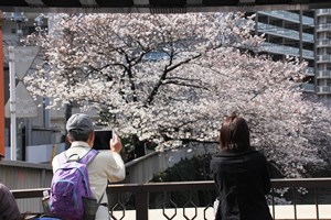 写真を撮る人たち