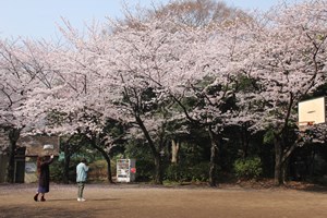 写真を撮る人
