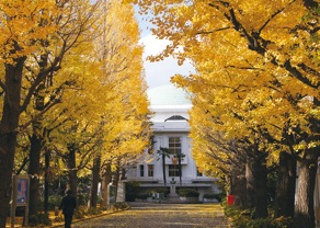 星薬科大学