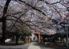 旗岡八幡神社と鎌倉道