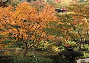 池田山公園