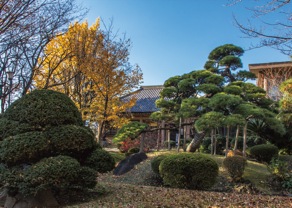 来福寺の境内