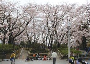 権現山公園