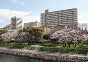 八潮団地と緑道公園