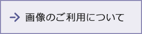 画像のご利用について