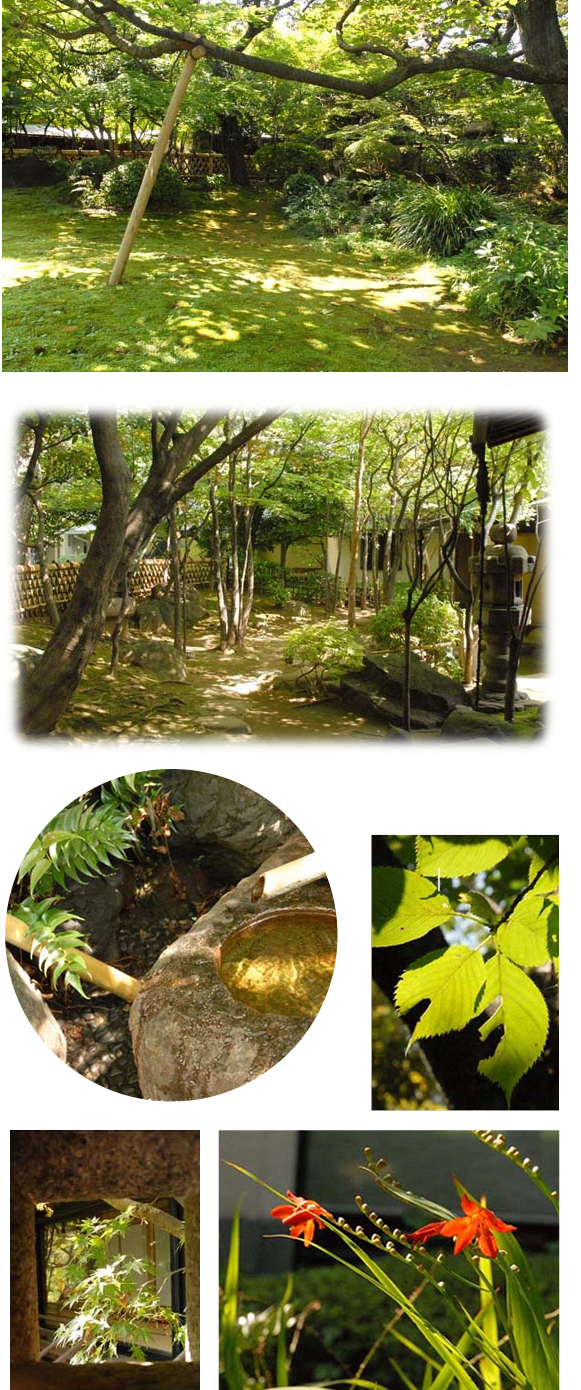Green garden