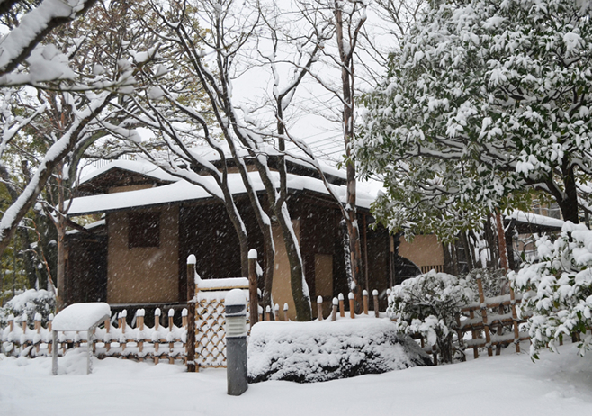 Snowscape