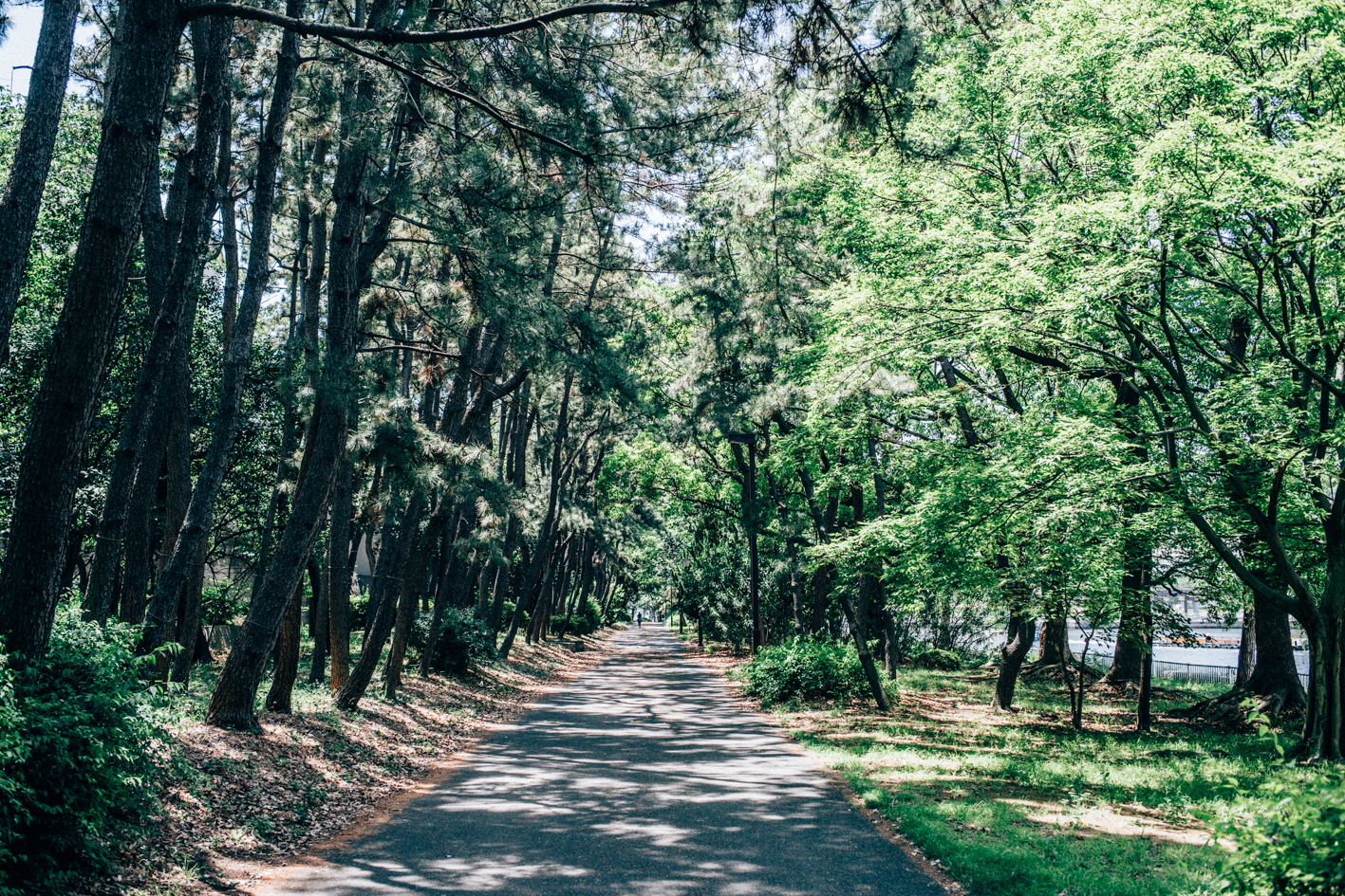 京浜運河緑道